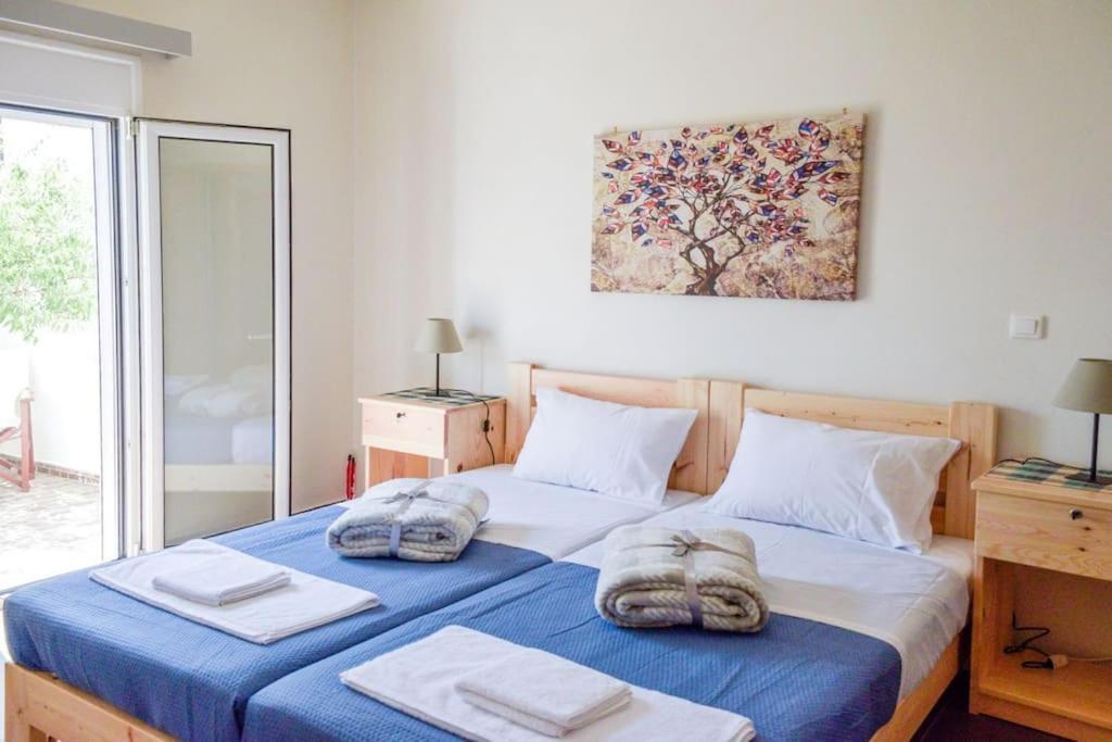 το μεγάλο αμπέλι Apartamento Megalokori